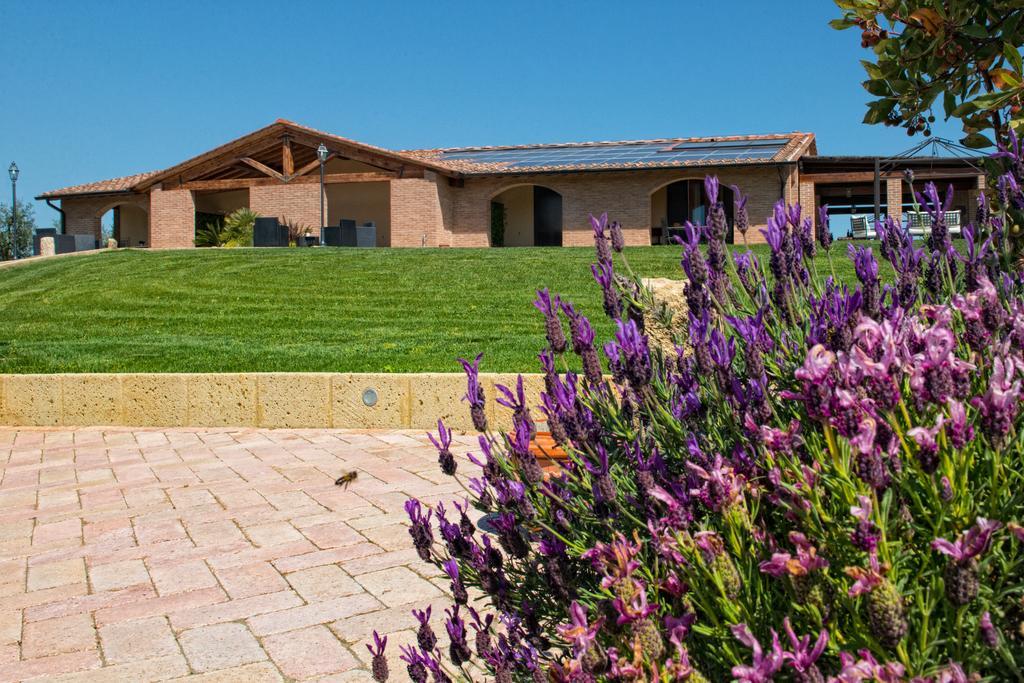 Апартаменты Agriturismo Deni Cenaia Экстерьер фото