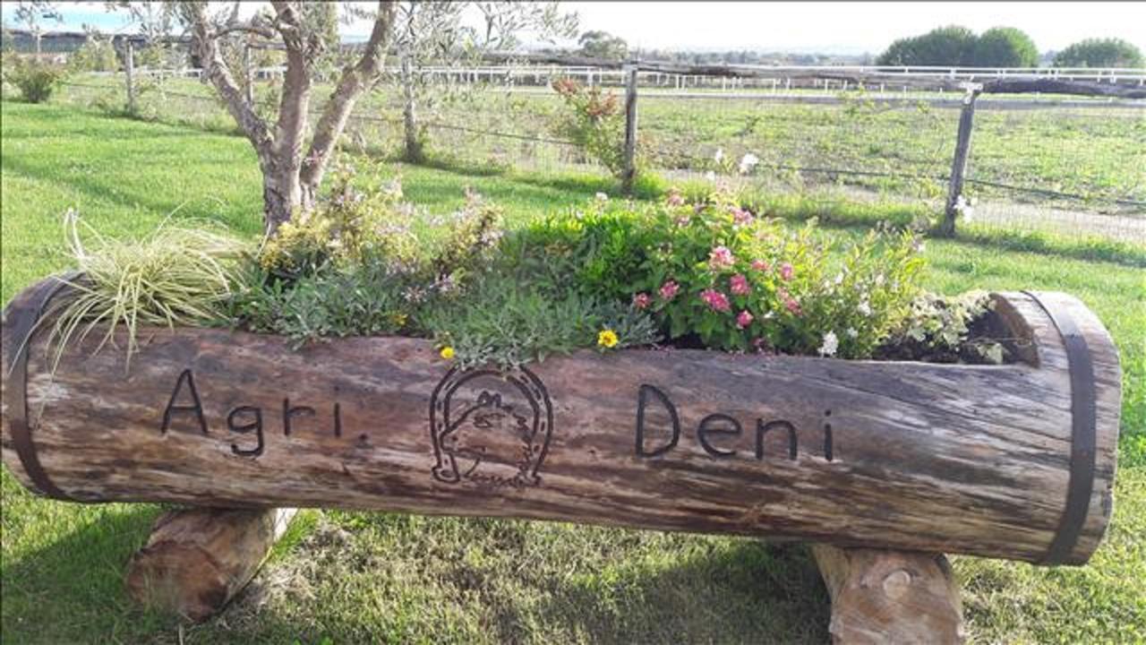 Апартаменты Agriturismo Deni Cenaia Экстерьер фото